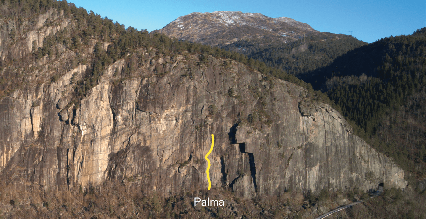 Palma gått i fri