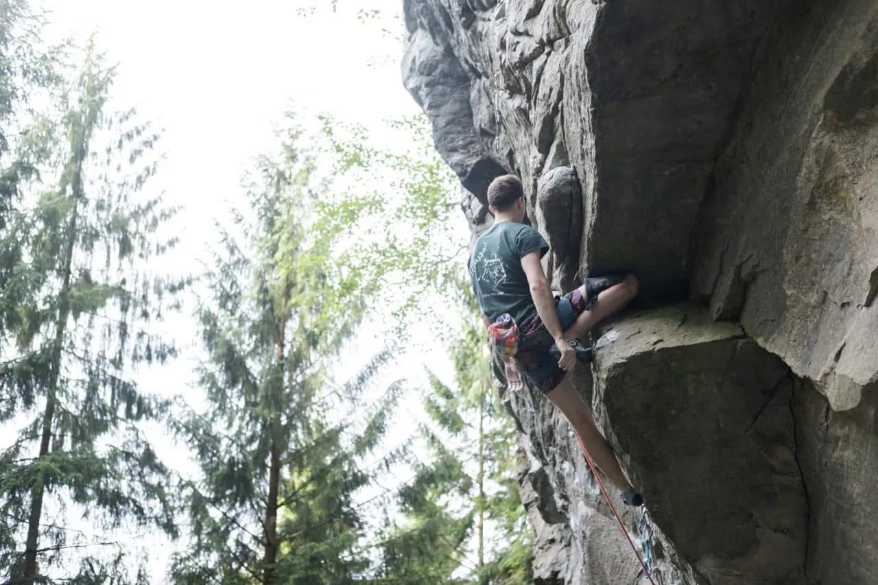 Klatrer i veggen med skog i bakgrunnen