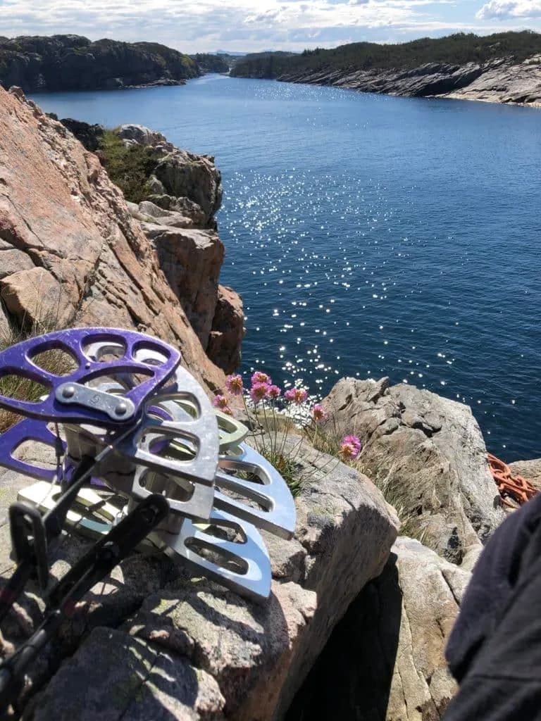 En kamkile på klippe med sjø i bakgrunnen