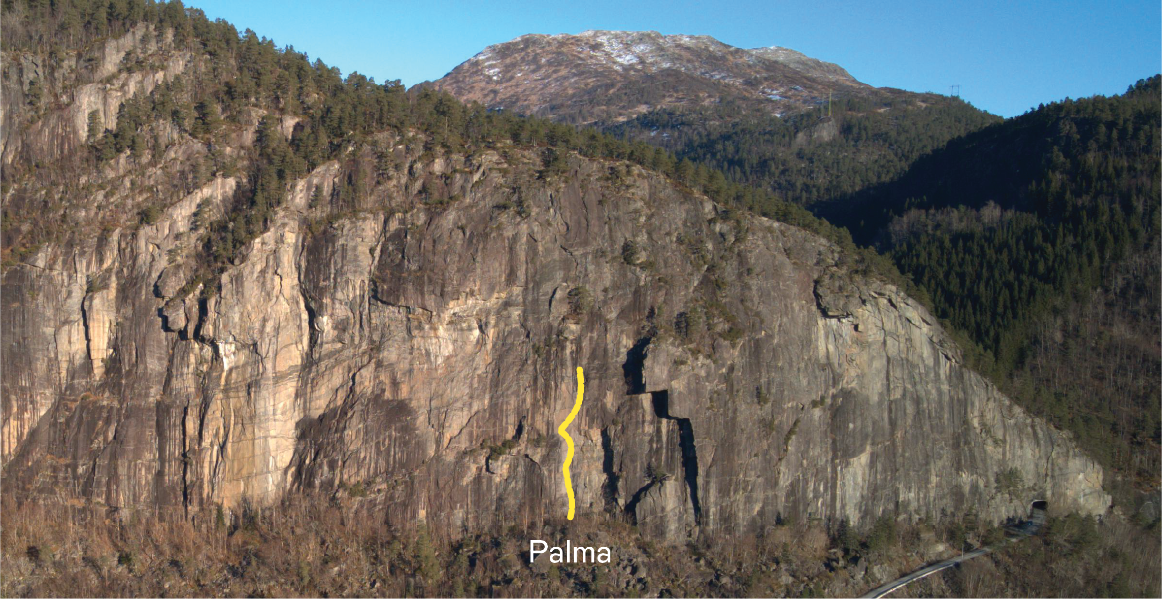 Palma gått i fri